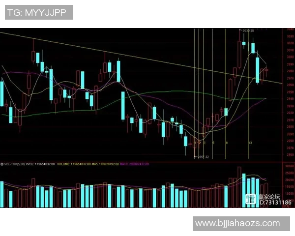 杭州排球队与成都排球队赛后复盘分析比赛节奏与战术对比