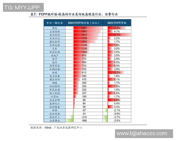 武汉排球队的运营模式与发展策略深度解析